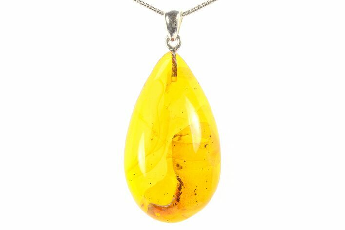 Polished Baltic Amber Pendant (Necklace) - Contains Fly! #297690